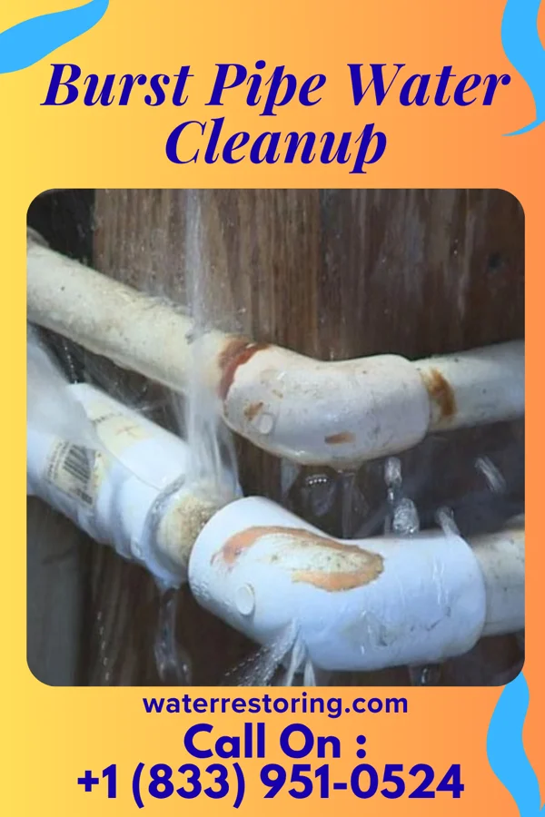 Burst Pipe Water Cleanup in Culver, IN