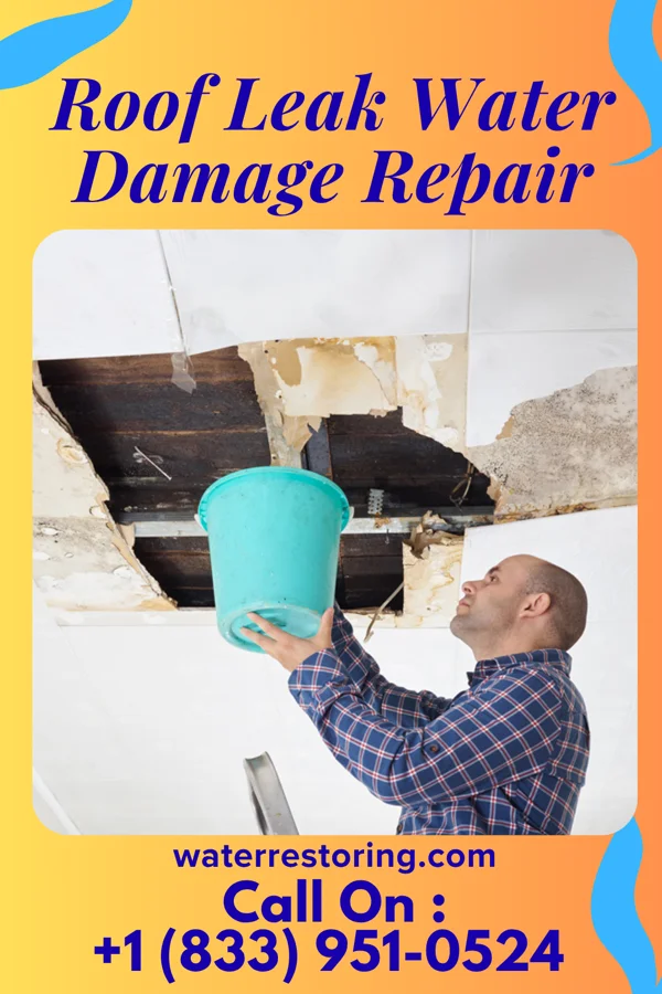 Roof Leak Water Damage Repair in Culver, IN