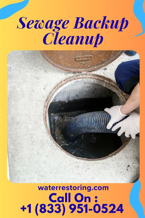Sewage Backup Cleanup in Culver, IN